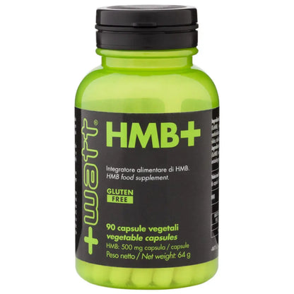 HMB+