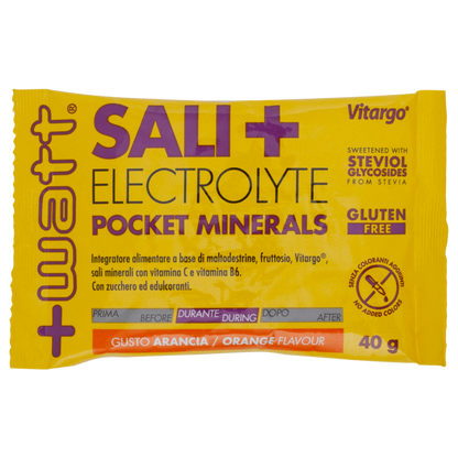 SALI+ SALI + MALTODESTRINE (box 18 bustine)